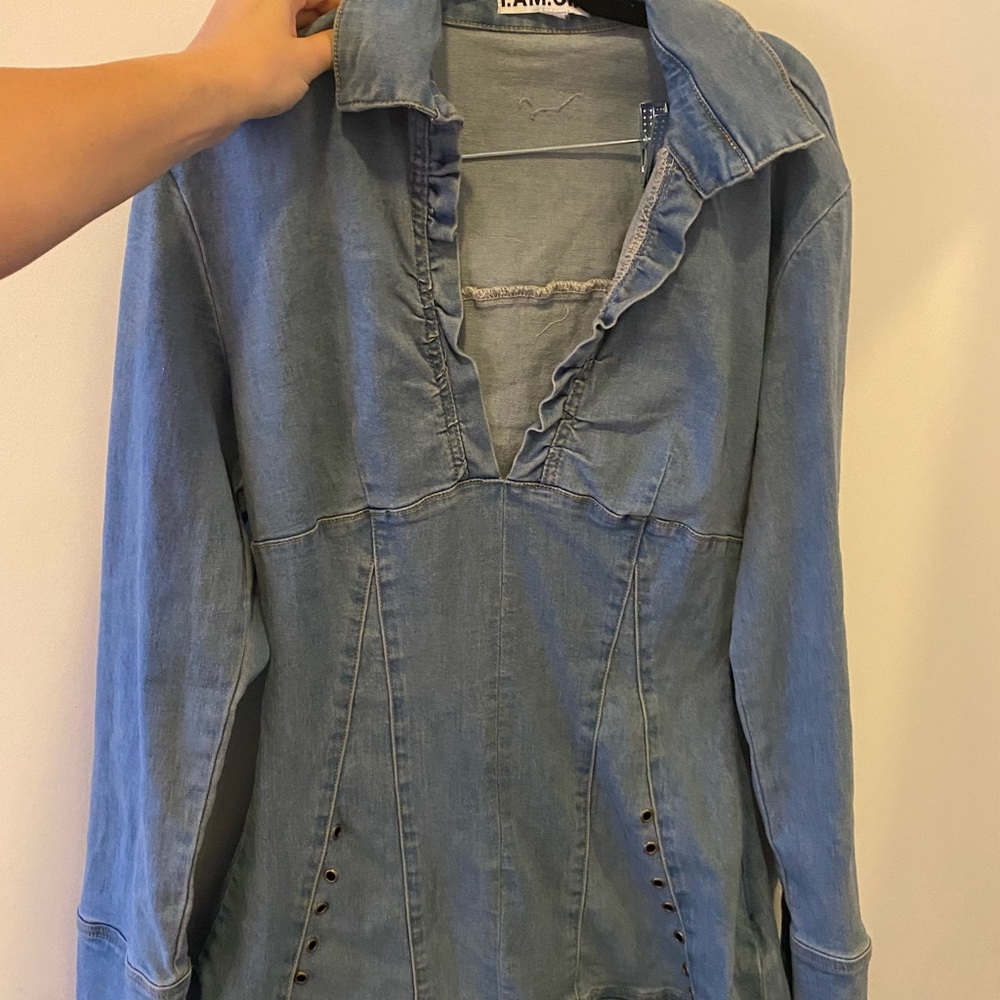 I am Gia denim dress
